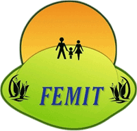 FEMIT-logo