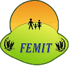 FEMIT-logo